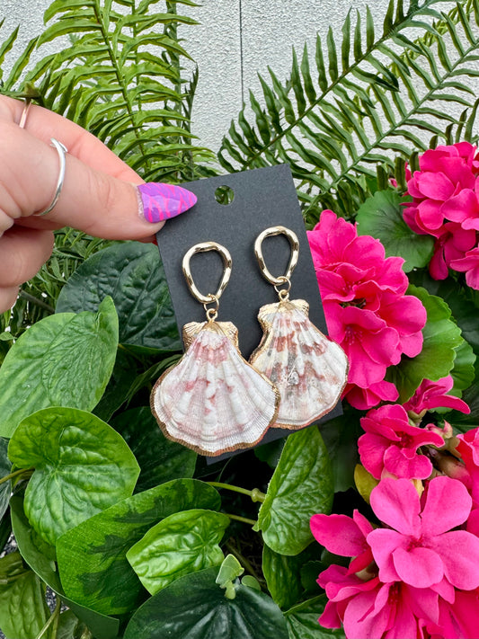 Coastal Shell Earrings