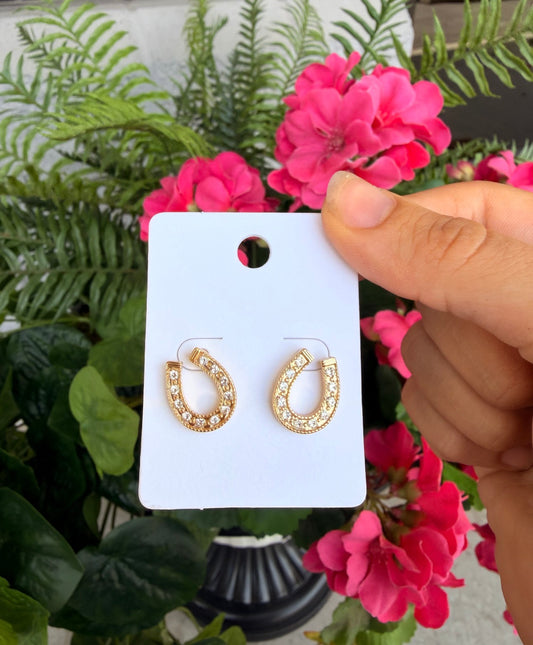 Lucky Horseshoe Studs